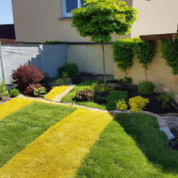 Abattage : enlevez les arbres dangereux ou indésirables de votre jardin en toute sécurité Boissy-Saint-Leger